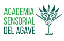 Academia Sensorial del Agave